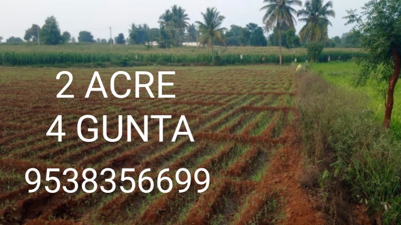 Xj) 2 ACRE 4 GUNNA | TURN IDEAS INTO REALITY | AWSOME 👌 RED SOIL LAND@9538356699