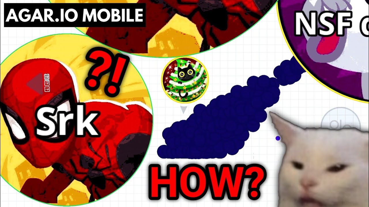 AGARIO TROLL  - YOU HAD ONE JOB -  TROLLING FUNNY MOMENTS ft. GetDeadKid ( AGAR.IO MOBILE )