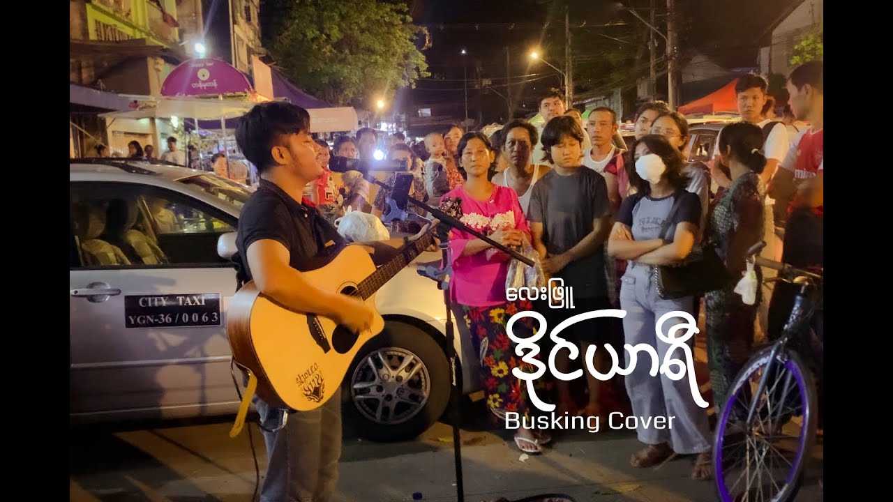 ဒိုင်ယာရီ - လေးဖြူ (Busking Cover)