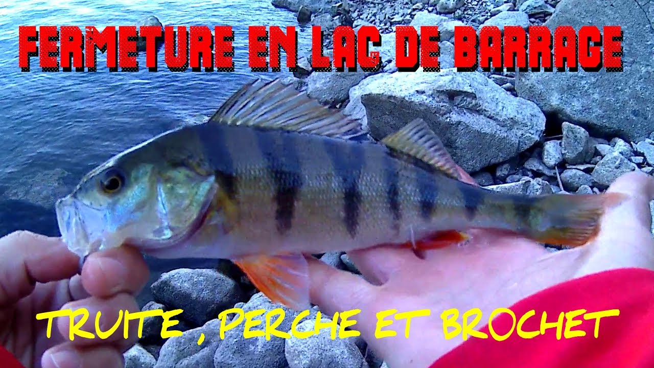 TRUITES, PERCHES ET BROCHETS AU LAC DE KRUTH À LA CUILLER