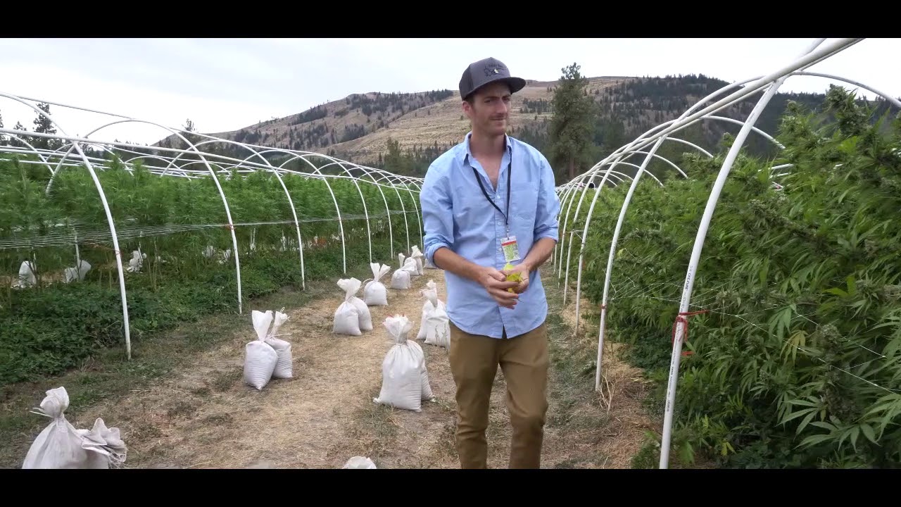 Lazy Bee Gardens Educational Videos