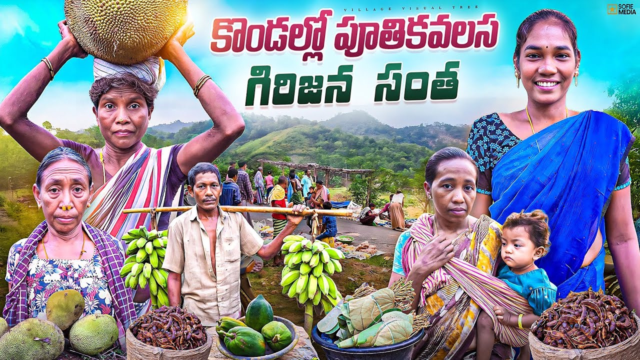 పూతికవలస గిరిజన సంత || putikavalasa tribal market ||putikavalasa santha