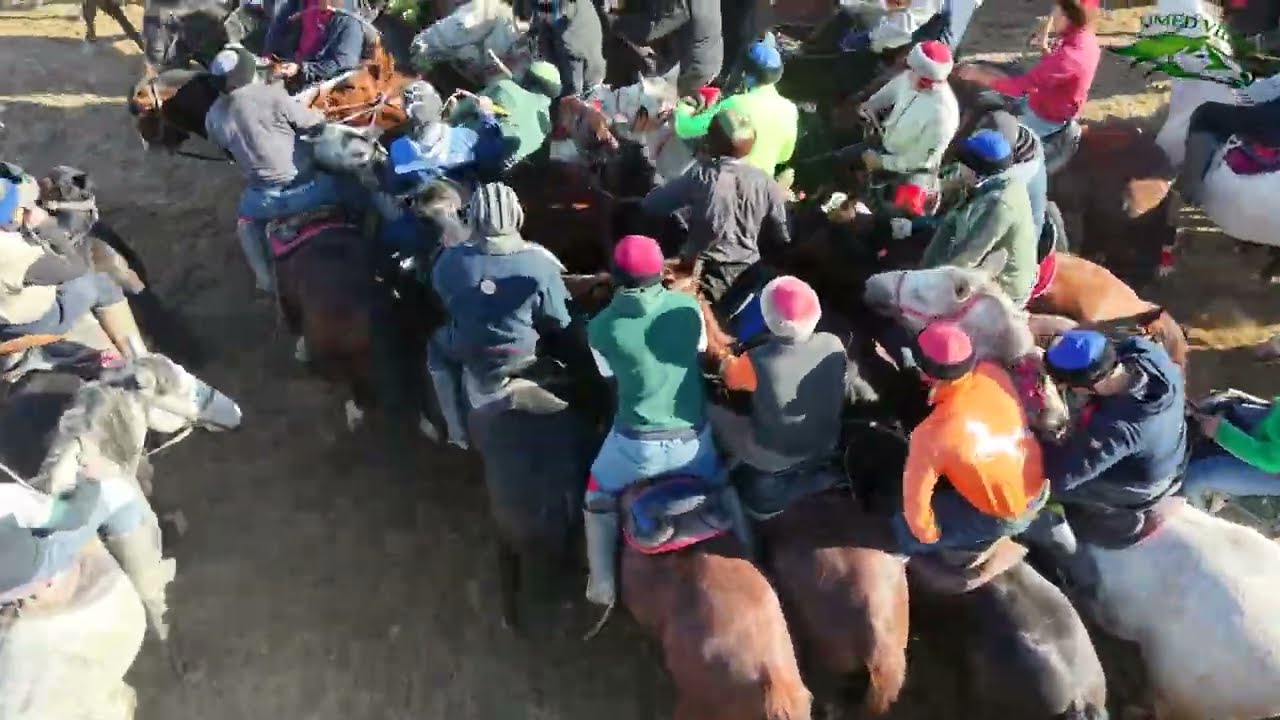 Бузкашии д Сучина 10 01 2026 кисми 1 UMED VIDEO Tajikistan zarafshon 