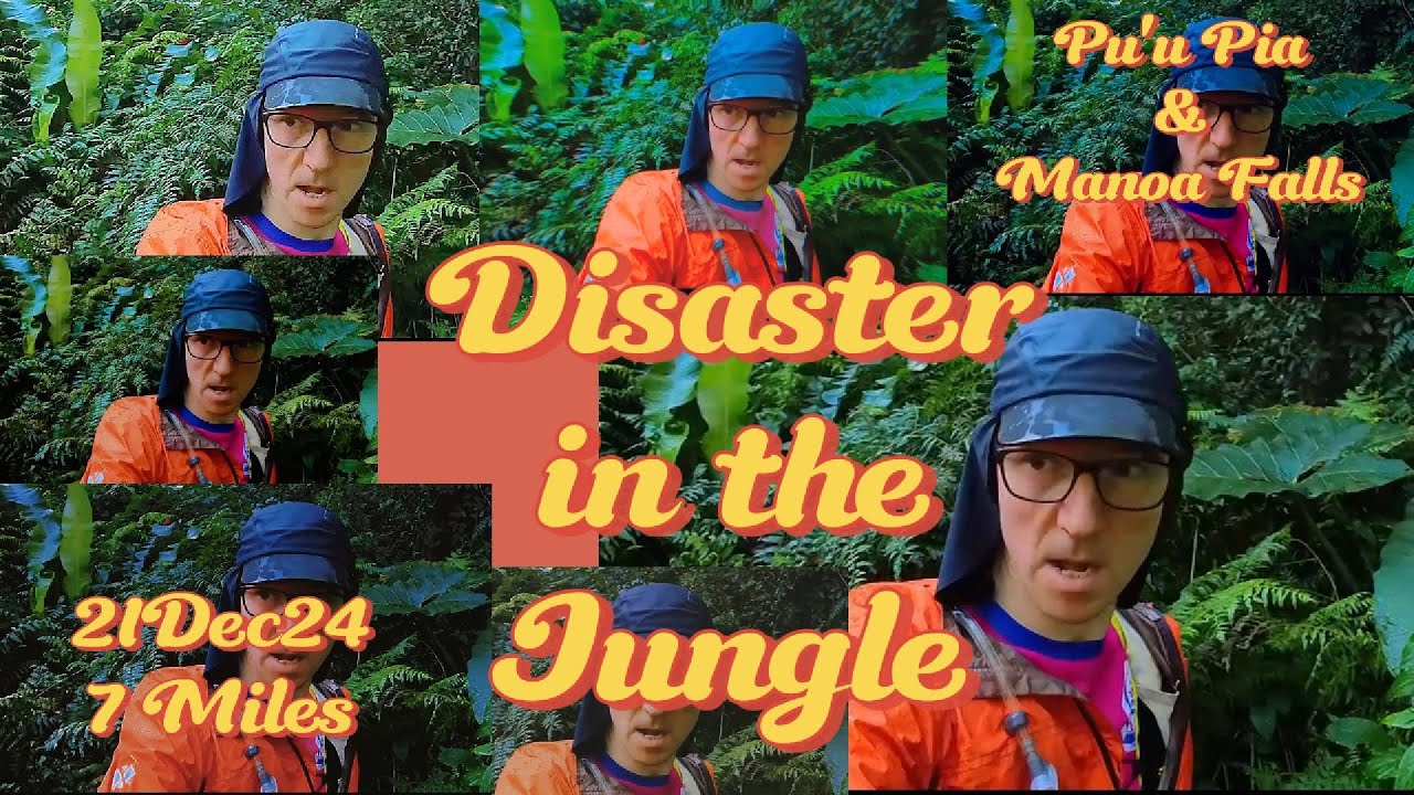 Disaster in the Jungle: 🌋 Trail Running in Honolulu | Hawai'i | Hoahu | Manoa Falls
