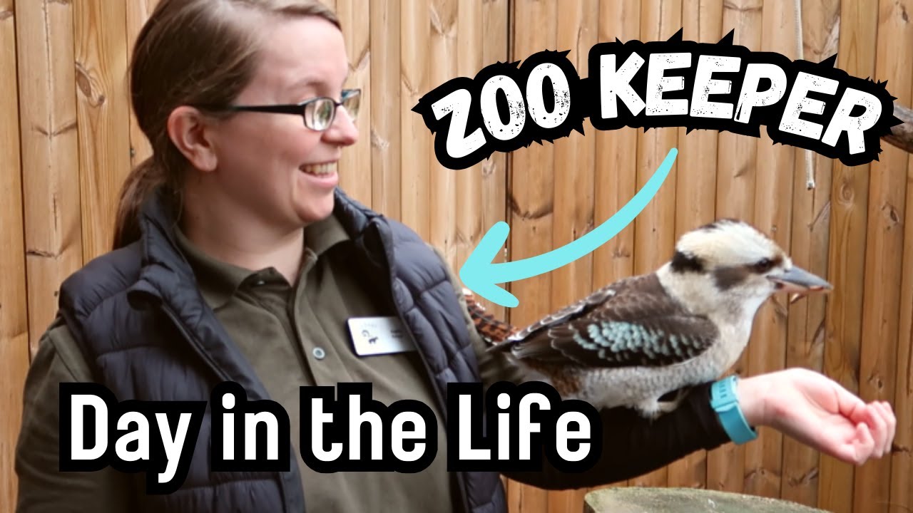День из жизни смотрителя зоопарка &mdash; Cedars Nature Centre | BirdNerdSophie