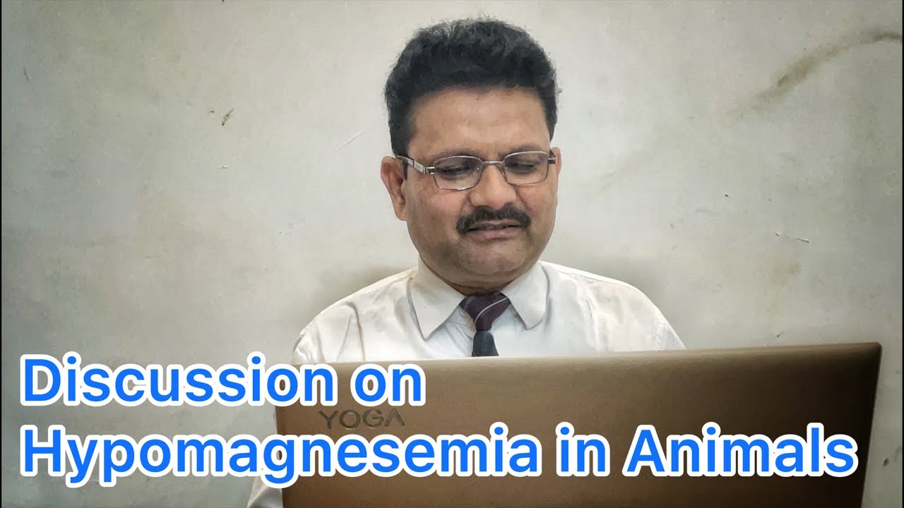 Hypomagnesemia in Animals | मैग्नीशियम की कमी | Dr. Umar Khan
