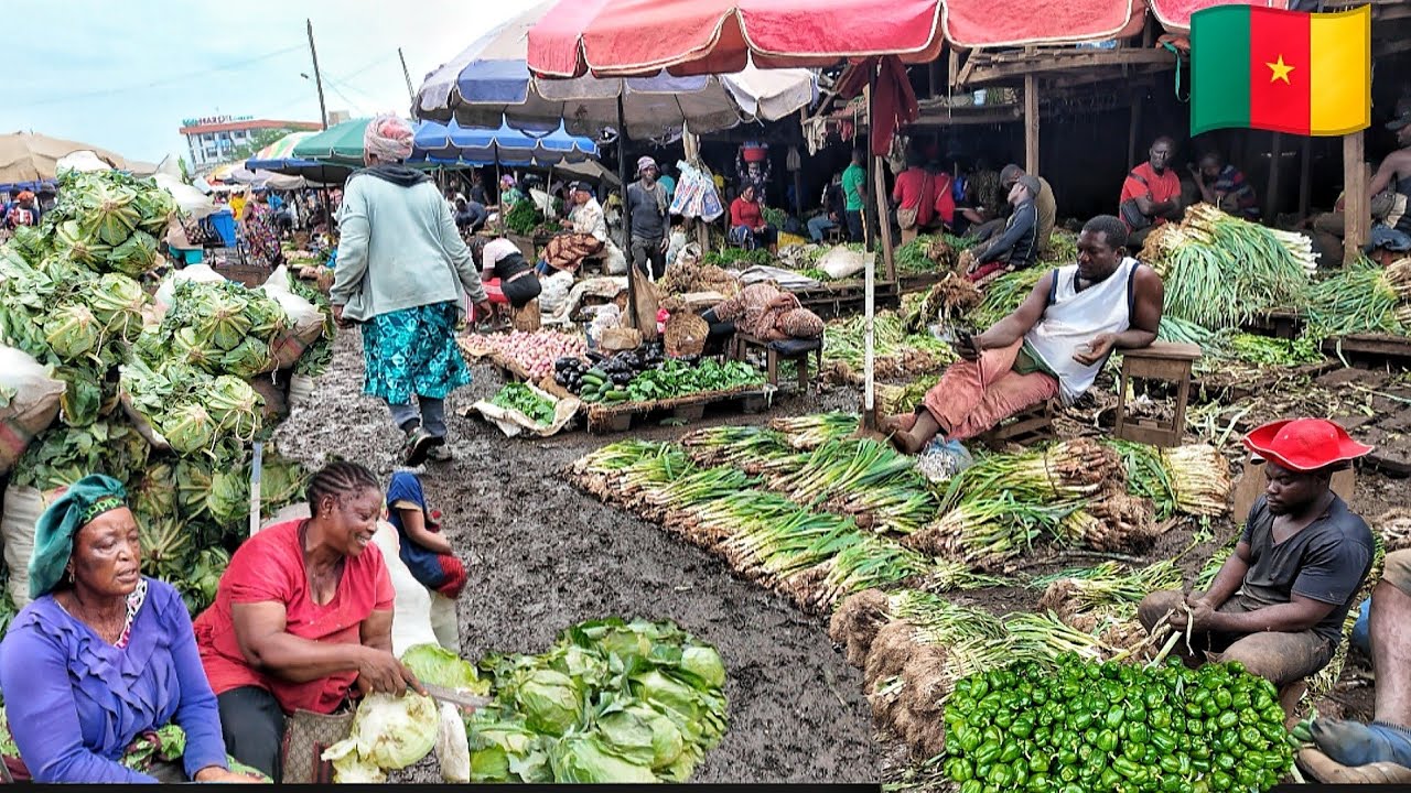 Cost of living in Douala Cameroon 🇨🇲. Largest wholesale fresh food market Douala Cameroun 🇨🇲.