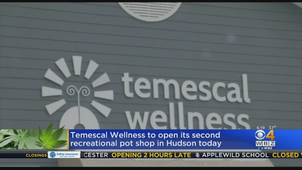 Temescal Wellness To Open Second Recreational Pot Shop In Hudson