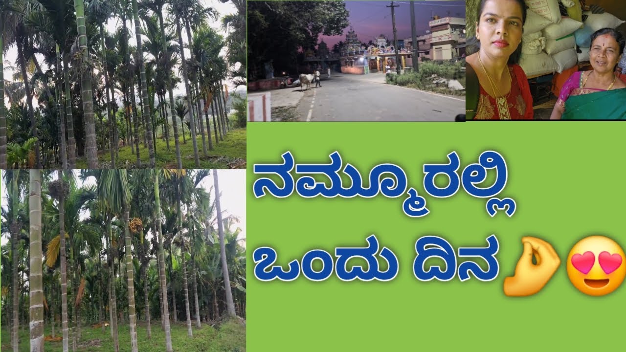 ನಮ್ಮ ತೋಟ ಹೇಗಿದೆ ನೋಡಿ🤌😍|Magadi|Native|kannadavlog.
