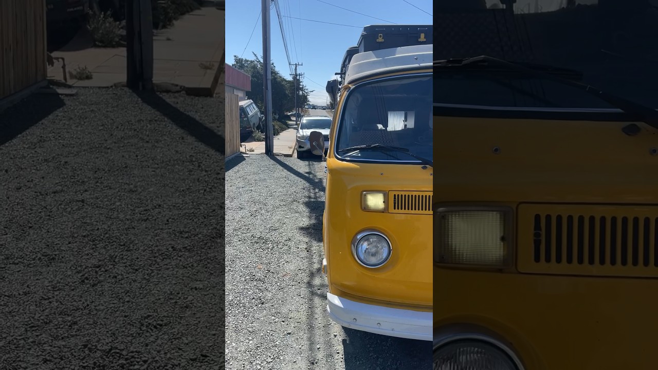 Westy Supplies ✌🏼 #westfalia #vwtype2 #vanagon #kombi #vanlife #vwbus #buslife #digitalnomad #cats