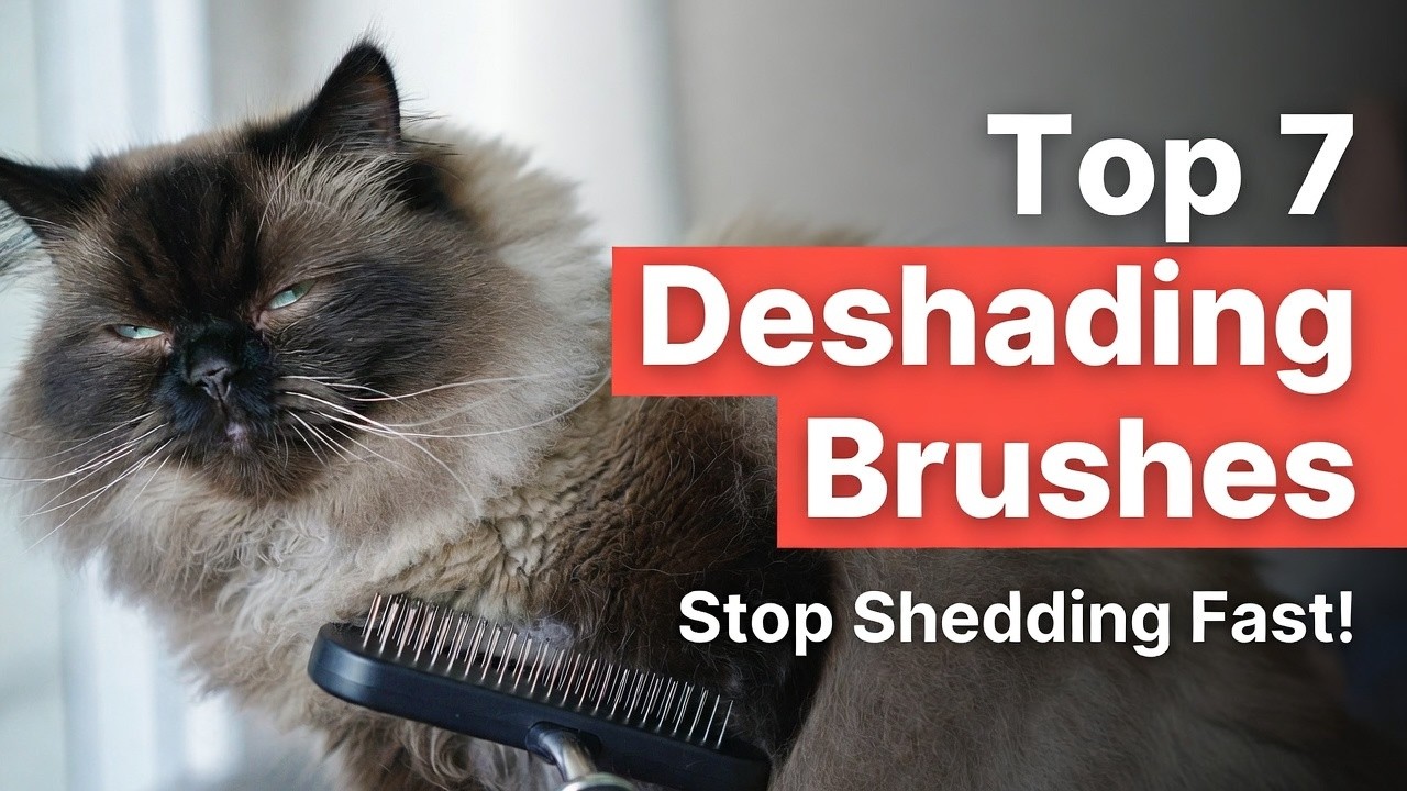 Top 7 Best Cat Deshedding Brush Long Hair Review (Hidden Gem) Stop Shedding Fast 2026