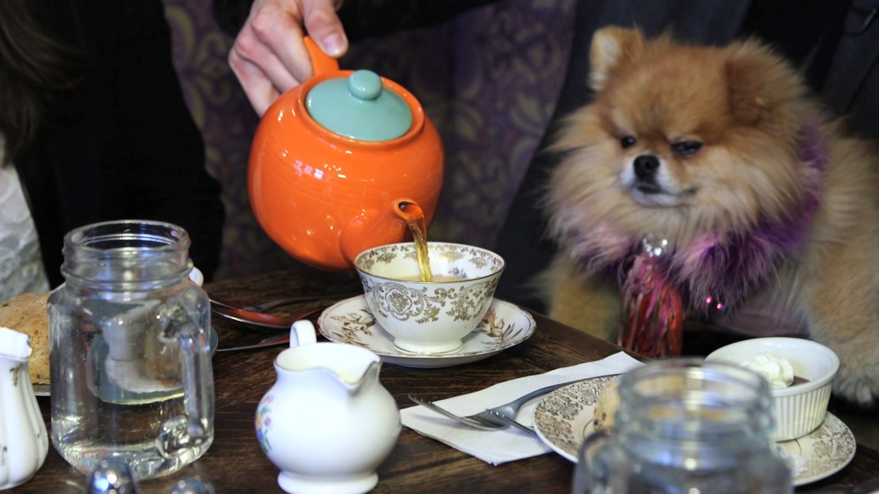 Ben Aaron Gets Cheeky And Takes Tea With Lisa Vanderpump