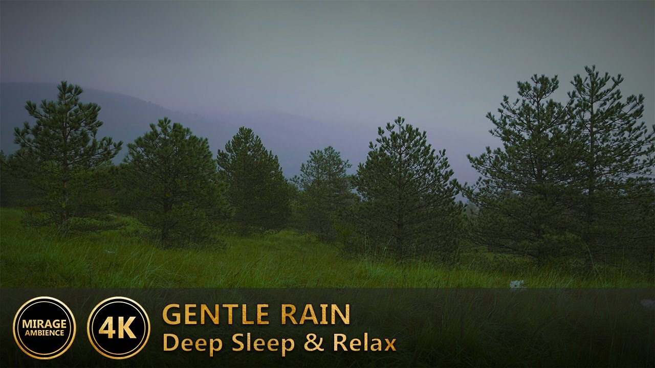 Peaceful Rain Ambience | Edge of the Forest 4K | Foggy Hillside Scenery for Deep Sleep & Relaxation