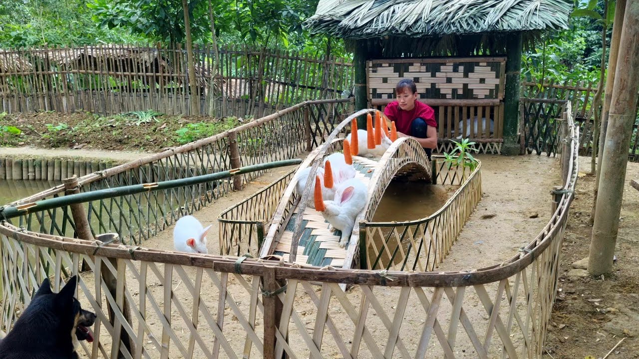 Building farm play area for rabbits and garden