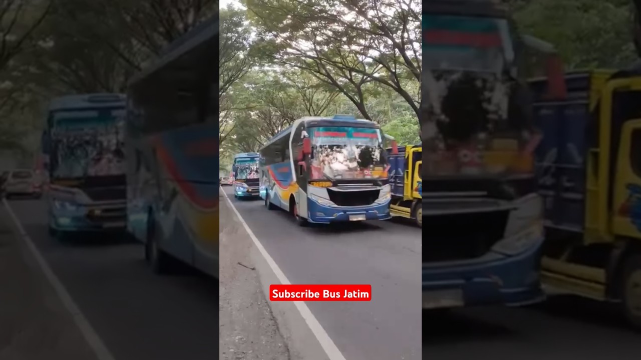 BALAPAN FULL DERAGGG😂 SR Pringgodani Yudex vs SR Kebondanu Timbul #busjatim #sugengrahayu #shorts