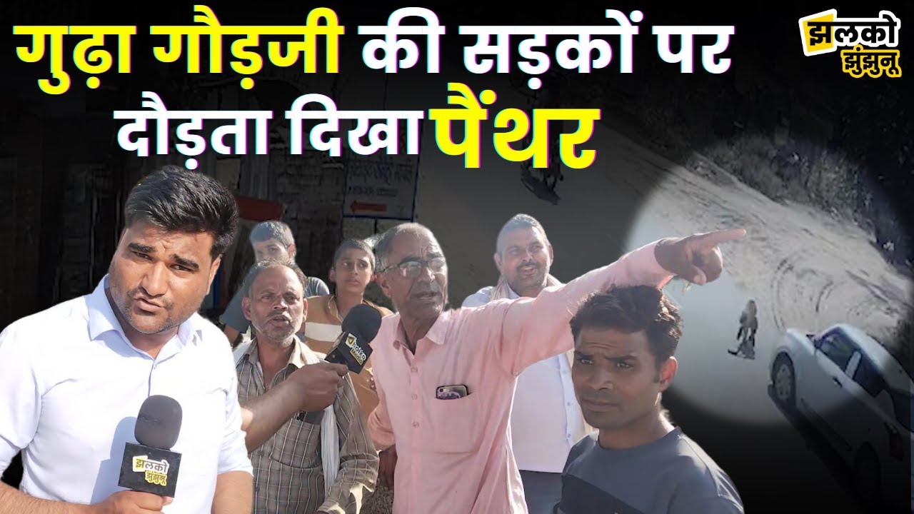 झुंझुनू में Panther को देखकर लोगों  को चढ़ा बुखार, देखें मौके पर मौजूद लोग क्या बोलें