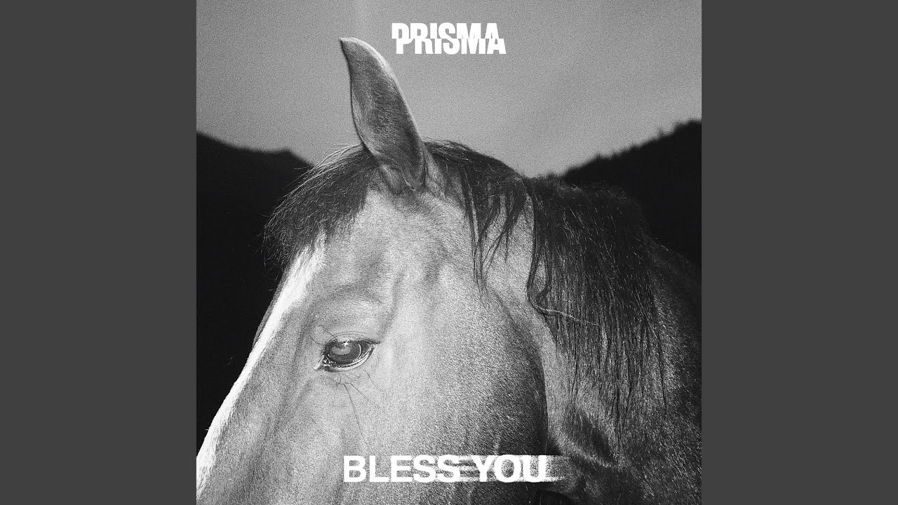 Kingdom (Bless You Remix)