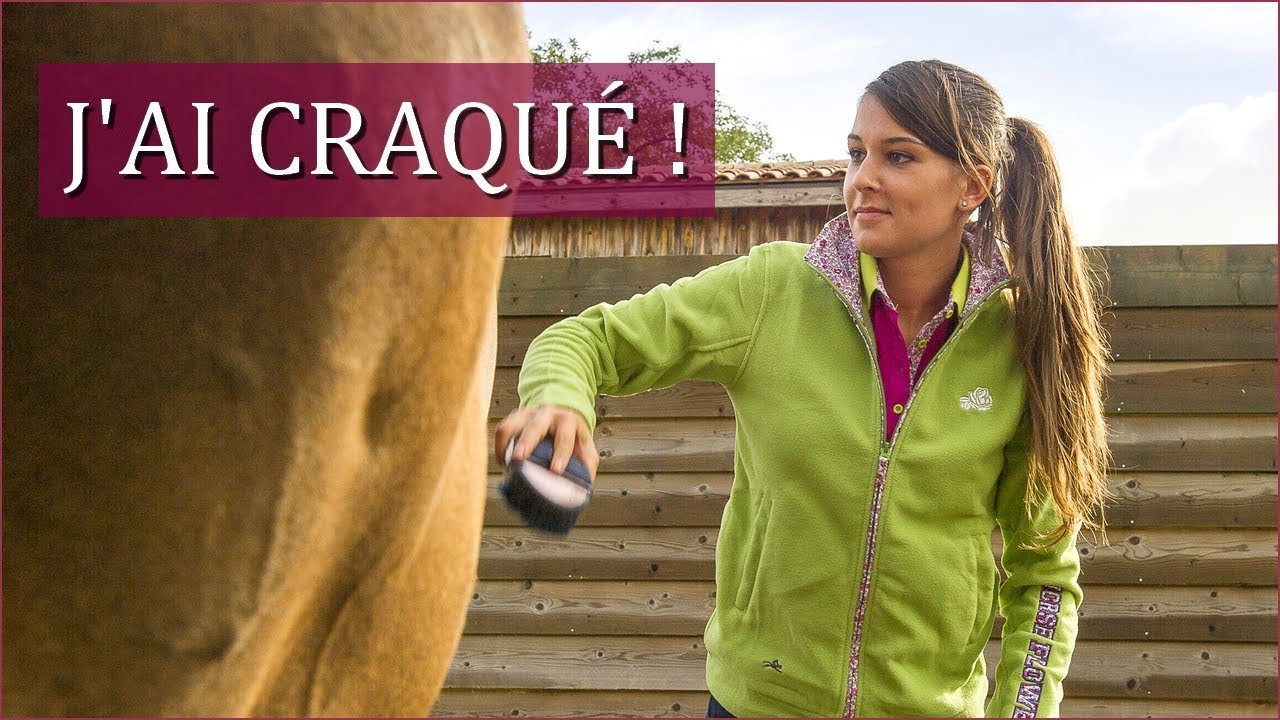 JE VOUS LE PRÉSENTE ENFIN - Mon sac de pansage
