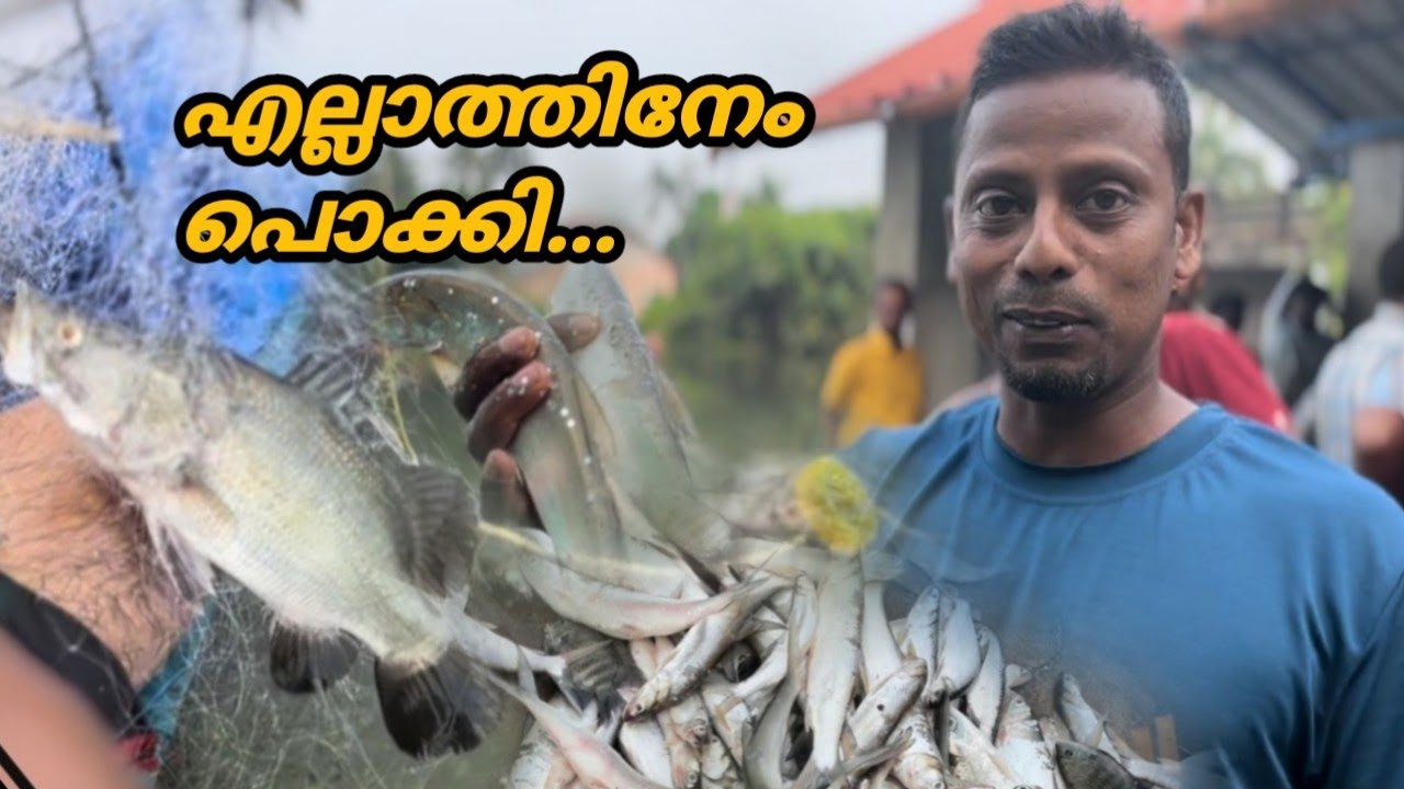 നമ്മുടെ ശത്രു മീനുകളെ പൊക്കി മാർക്കറ്റിൽ കൊടുത്താൽ എത്ര രൂപ കിട്ടും...