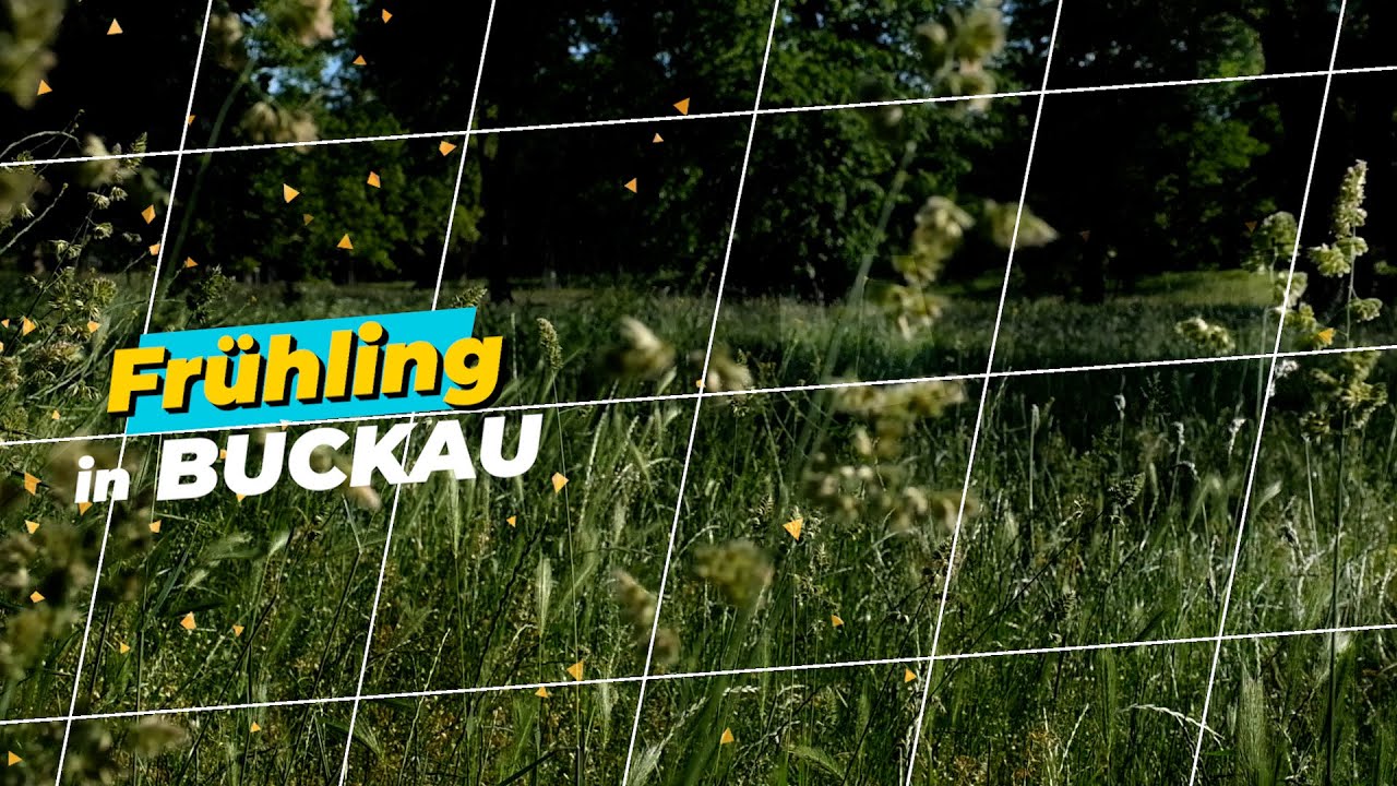 Frühling in BUCKAU