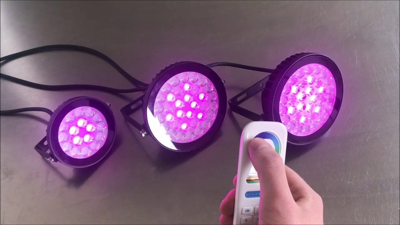 Echo - SMART SYNC SERIES