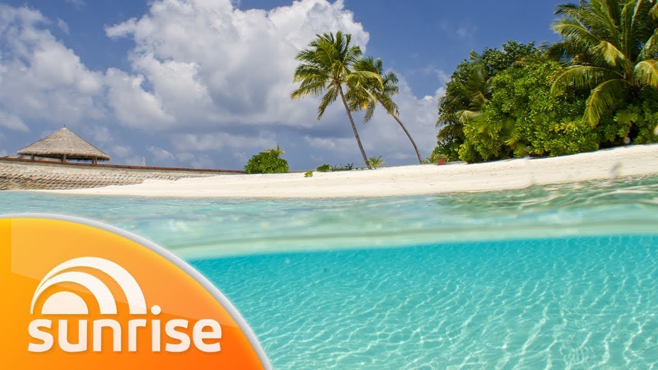 Want to be paid to live on an island paradise? Here's how! | Sunrise