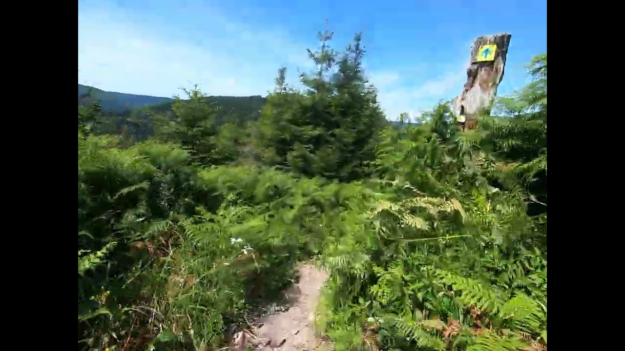 Hirschlachtrail Baiersbronn Obertal