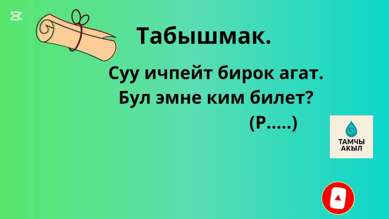 Тапкан Тапалактыкы дечуу беле?Кеттик табышмакты ким табат?#германия#сша #тезкабар#той#жанылык#жана 
