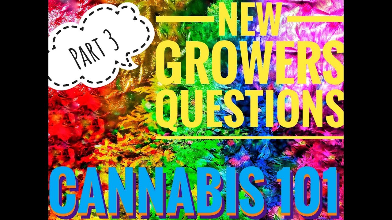 CANNABIS 101 New Growers Most Common Questions, LED Grow Lights