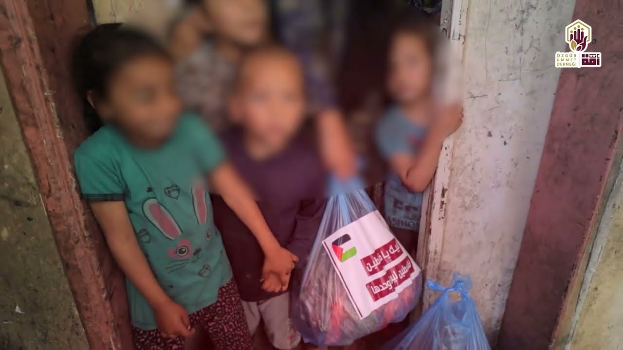 بِالأرقام والإحصائيات 