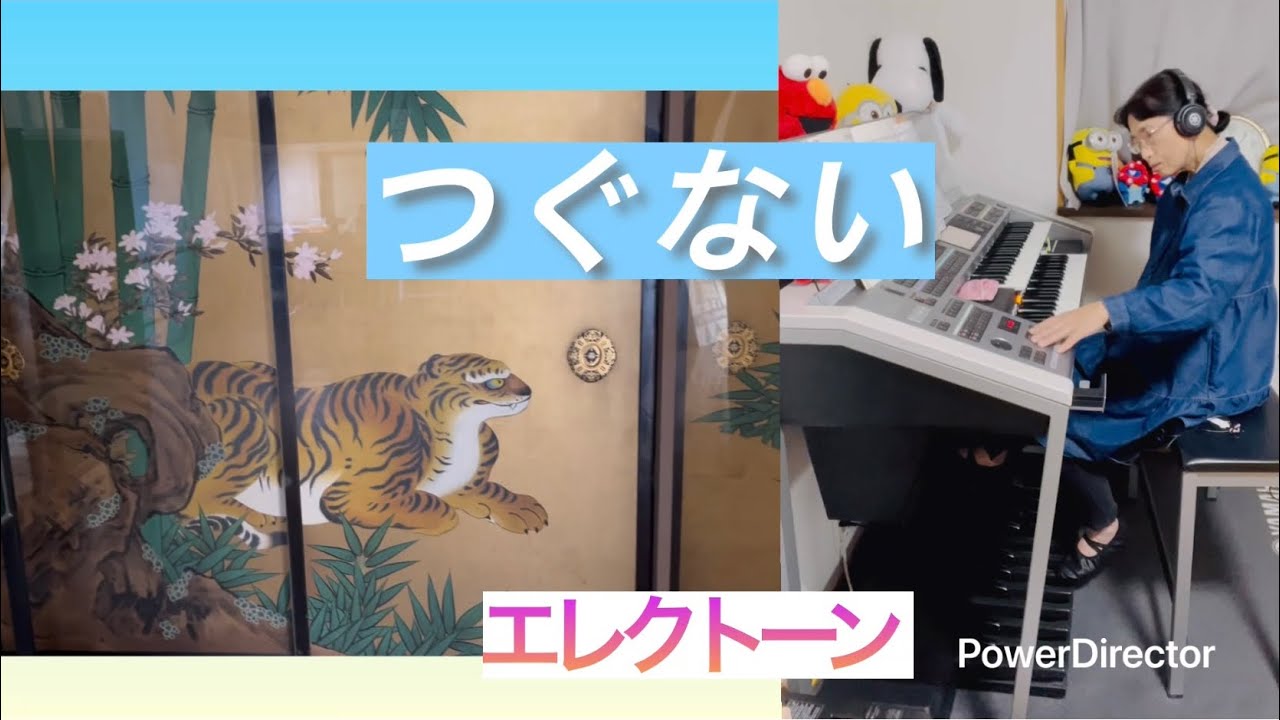 【つぐない】エレクトーン演奏
