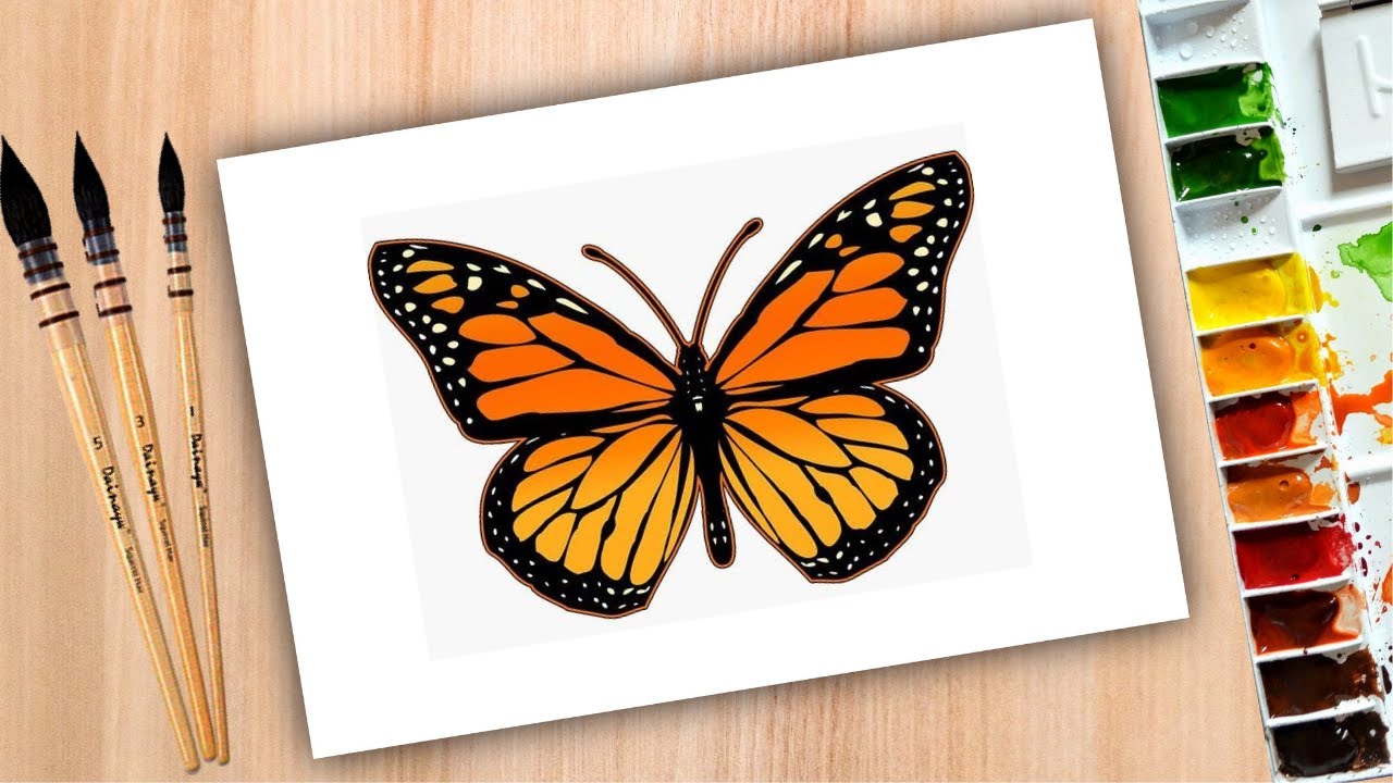 butterfly drawing / How to draw Butterfly with watercolour / Butterfly painting