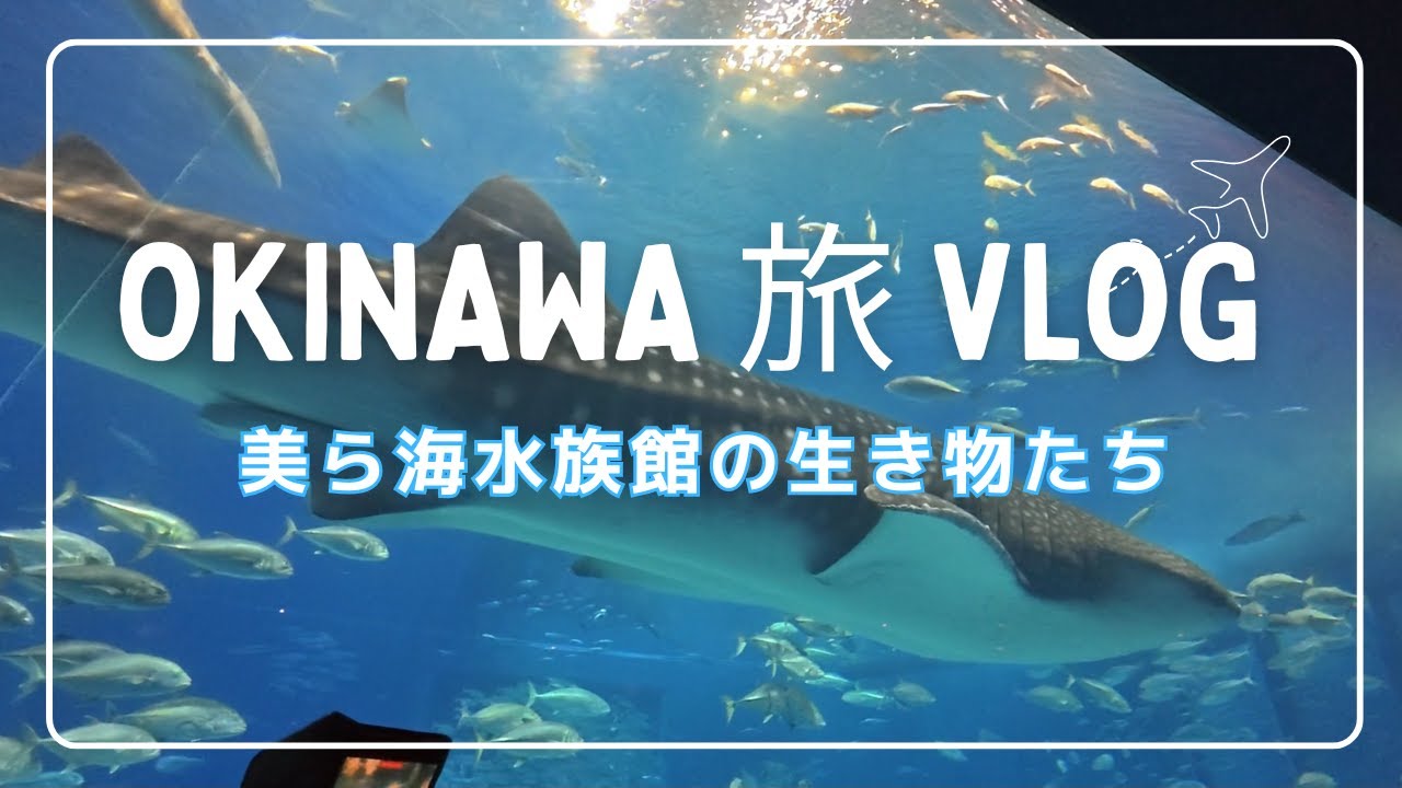 沖縄の旅-美ら海水族館の生き物たち