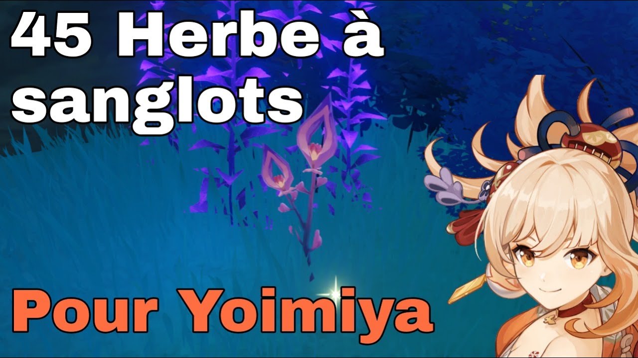 45 HERBE à SANGLOTS (pour l'élévation de Yoimiya) Guide Genshin Impact FR