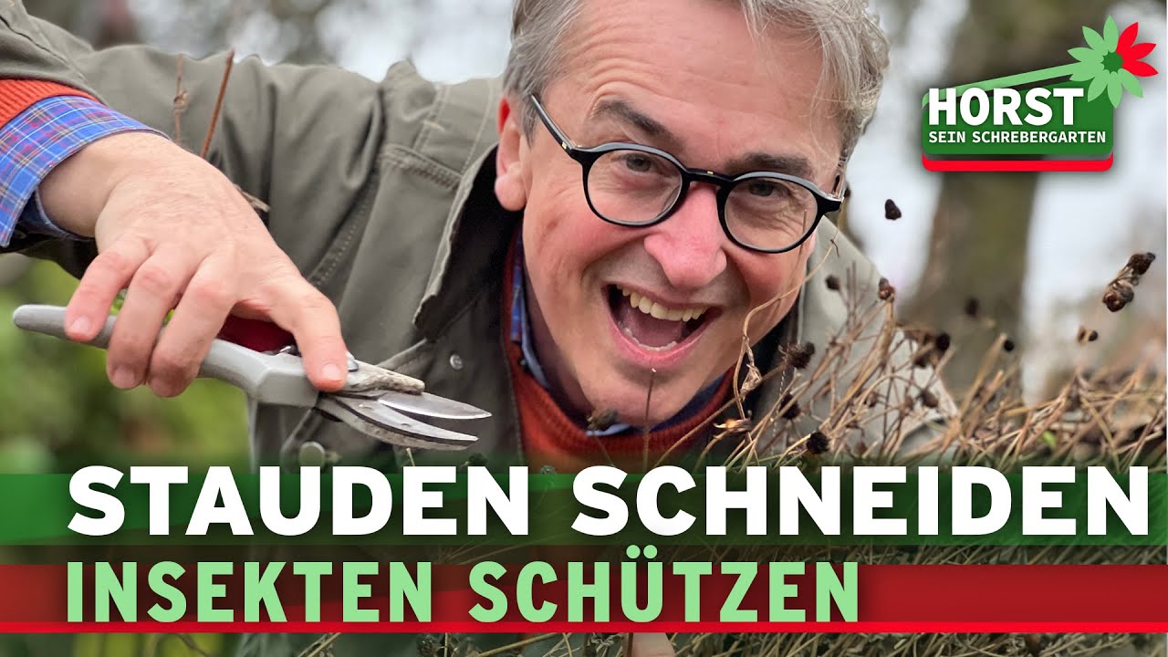 Stauden im Frühjahr zurückschneiden und Rücksicht auf die Natur nehmen | Horst sein Schrebergarten