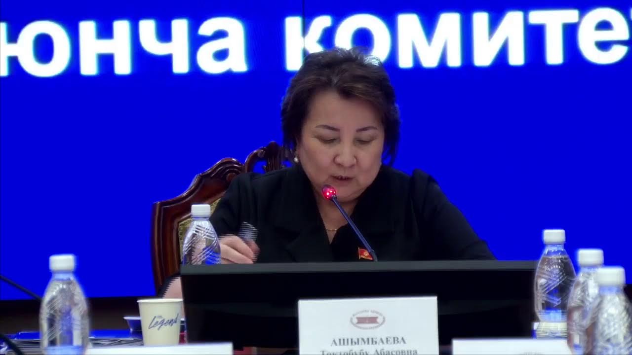 Илим, билим берүү, инновациялык өнүгүү жана маалыматтык технологиялар, маданият комитети 23.02.2026