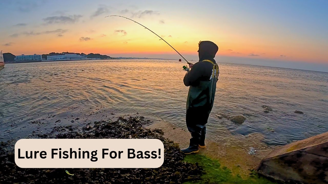 The Bass are in!! Lure Fishing For Bass Studland, Dorset
