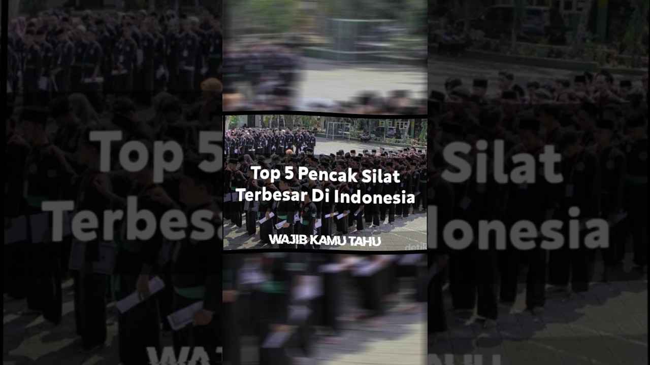 5 Perguruan Pencak Silat Terbesar Di Indonesia #shorts #pencaksilat #silat #ikspi #psht #pagarnusa