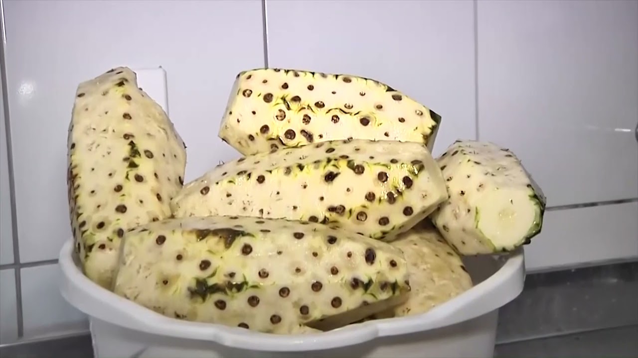 Família aposta em fábrica de suco artesanal em Cachoeiro