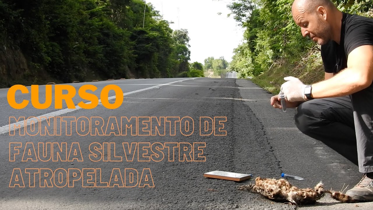 3 Por que monitorar