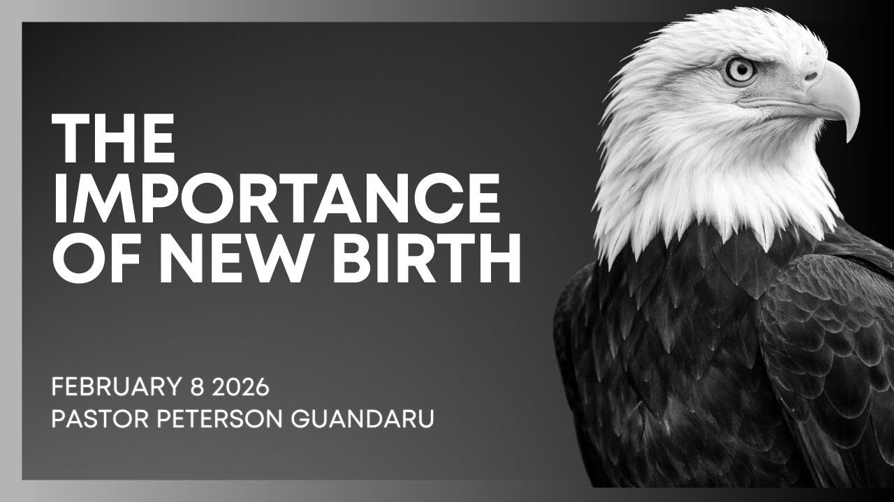 08.02.2026 //   //