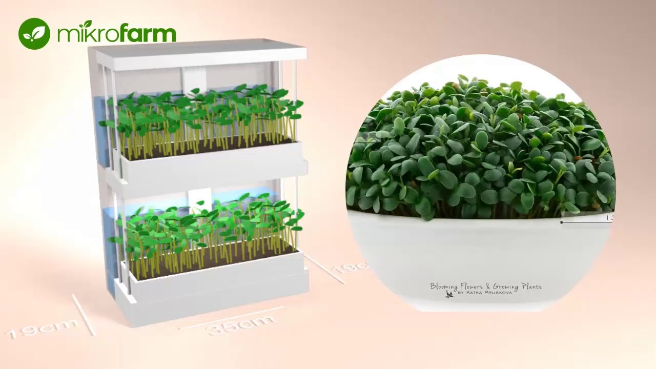 MikroFarm - Hoduj Mikro Liście w Domu