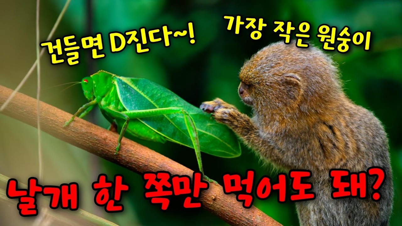 제작기간 10년🔥0.1%의 생존 확률🔥초미니 아기 동물들이 살아남는 방법