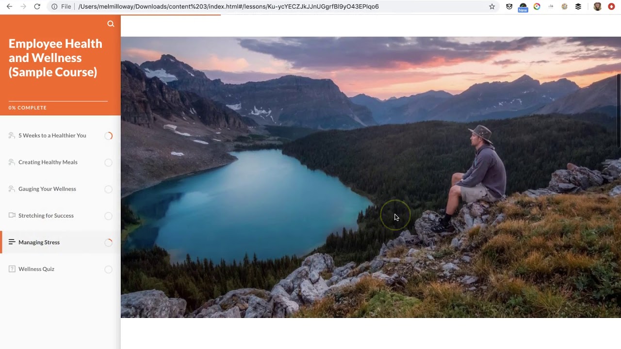 Using xAPI to Track Page Views and Clicks in Rise 2/2
