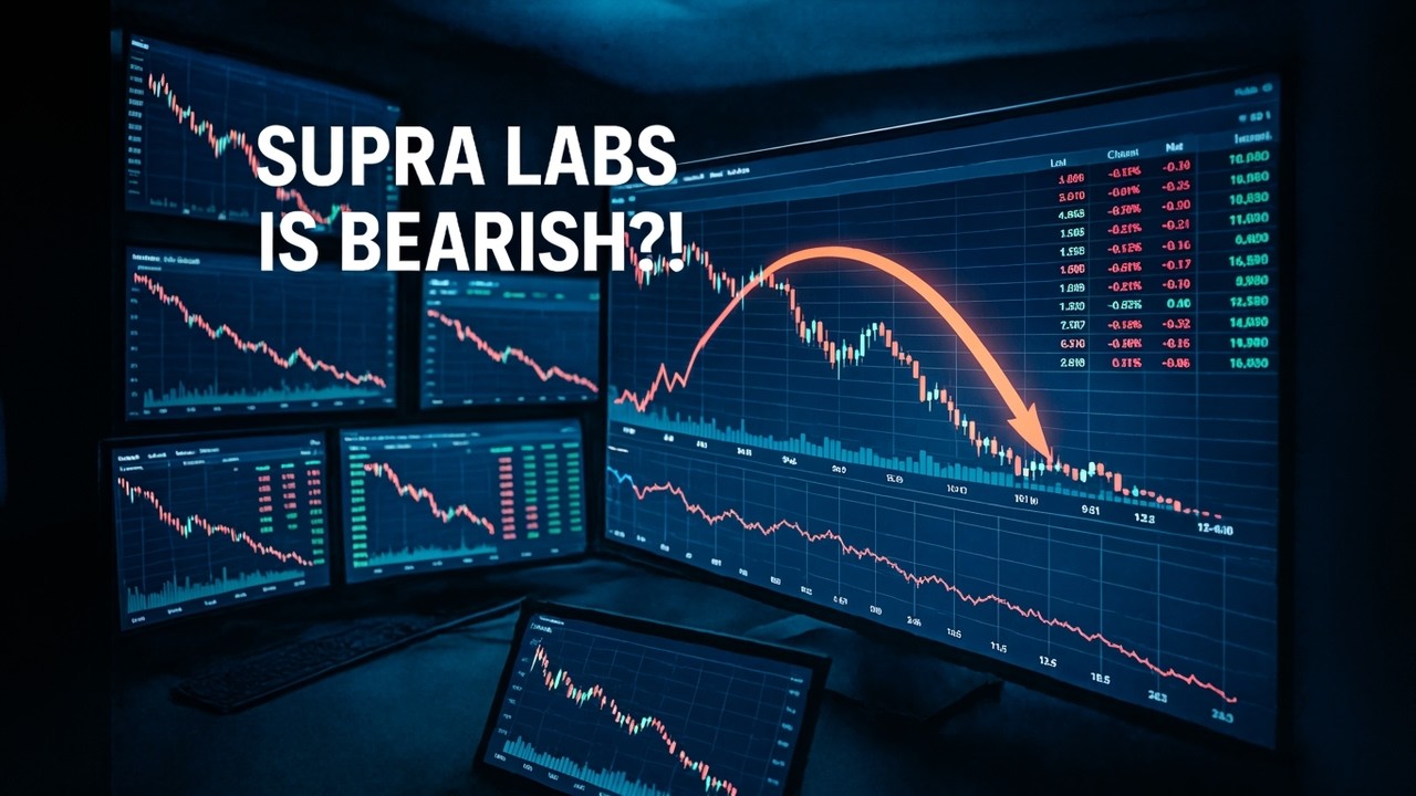 SUPRA LABS настроена по-медвежьи?!