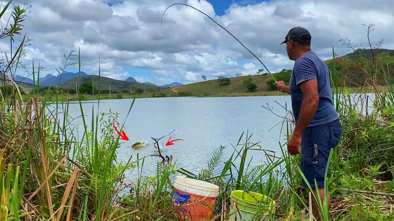 FOI SURREAL O QUE O CARDUME FEZ COM A ISCA QUE JOGUEI. Peguei um atrás do outro.