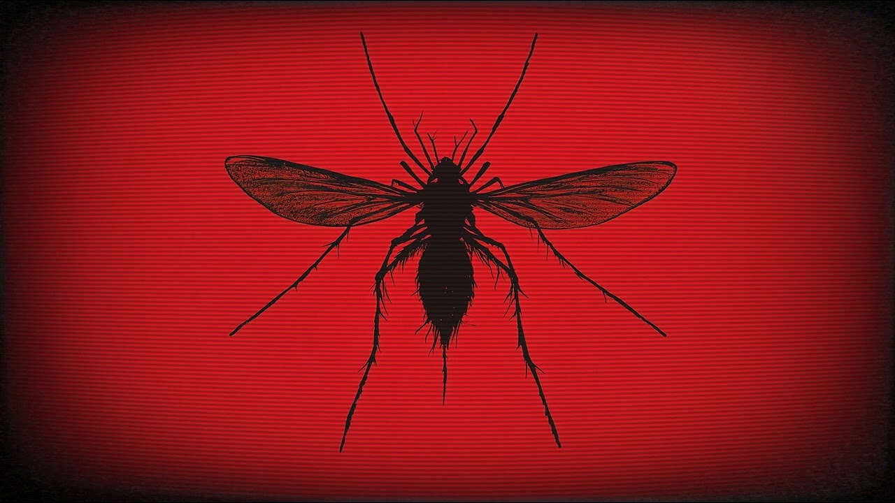 DARK MINIMAL TECHNO MIX 2025 MOSQUITO by RTTWLR