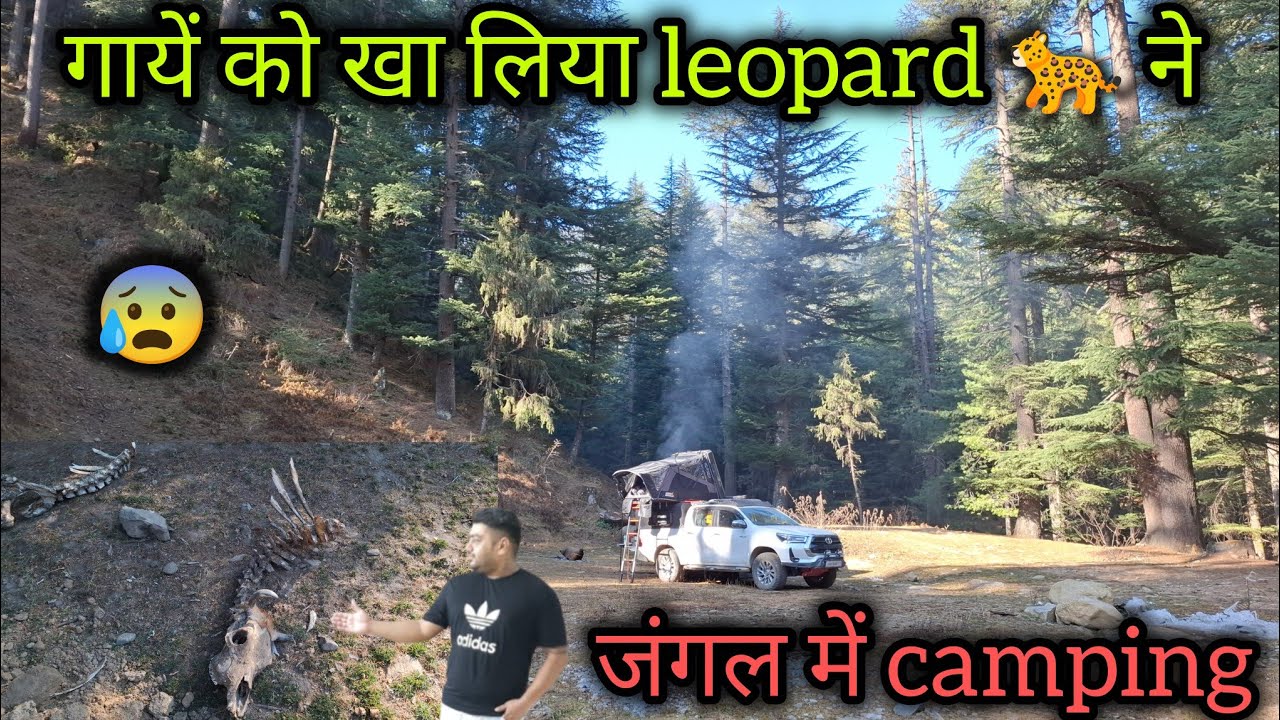 Ep 61 || leopard attack || Jungle camping || Himachal winter camping || shimla snowfall 