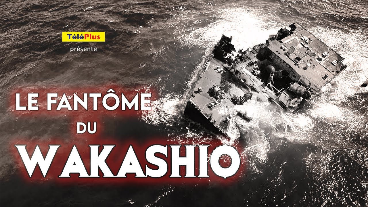 Le fant&ocirc;me du Wakashio
