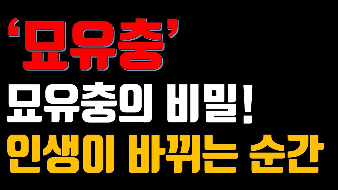 묘유충의 비밀? 인생이 바뀌는 순간! | 왕지충 시리즈 #1